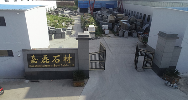 图片展示